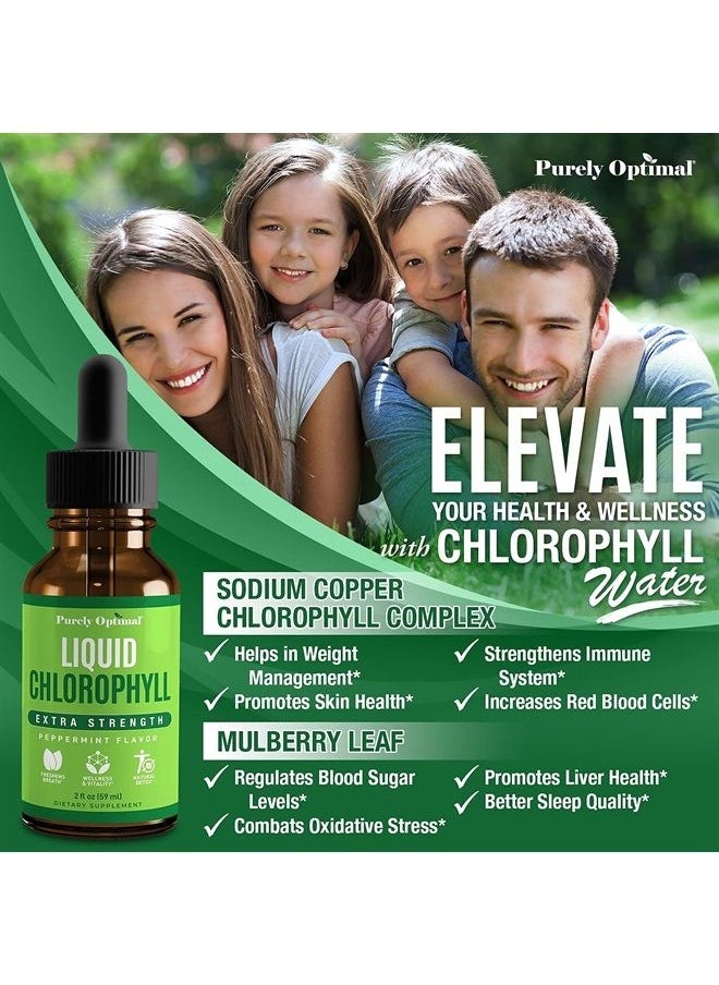 Purely Optimal - Premium Chlorophyll Liquid Drops - 100% Natural & Gluten Free Liquid Chlorophyll - Immune Support, Internal Deodorant, Body Detox, Energy Booster, Altitude Sickness - Non GMO, 118 servings - Image 1