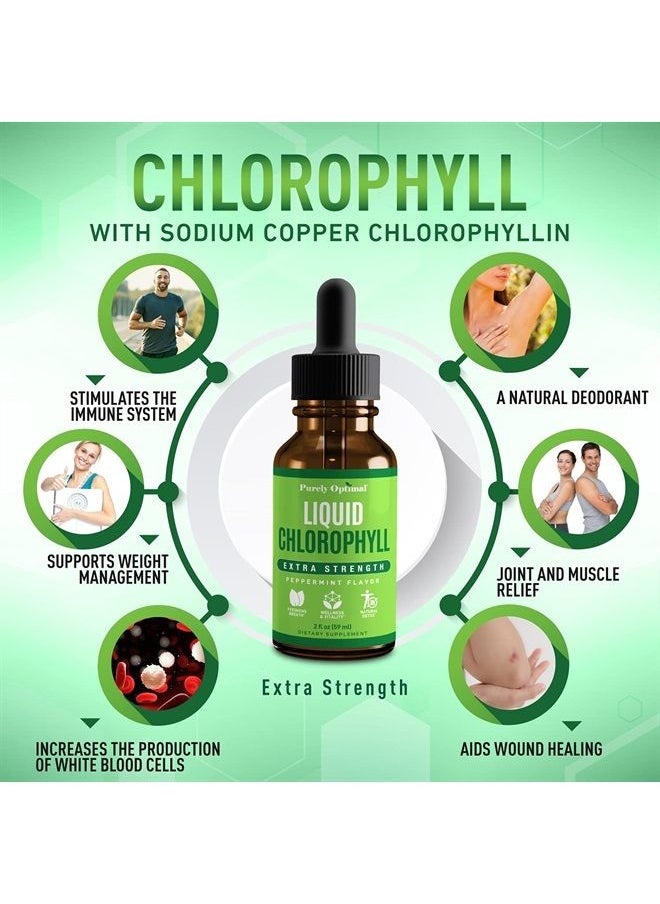Purely Optimal - Premium Chlorophyll Liquid Drops - 100% Natural & Gluten Free Liquid Chlorophyll - Immune Support, Internal Deodorant, Body Detox, Energy Booster, Altitude Sickness - Non GMO, 118 servings - Image 1