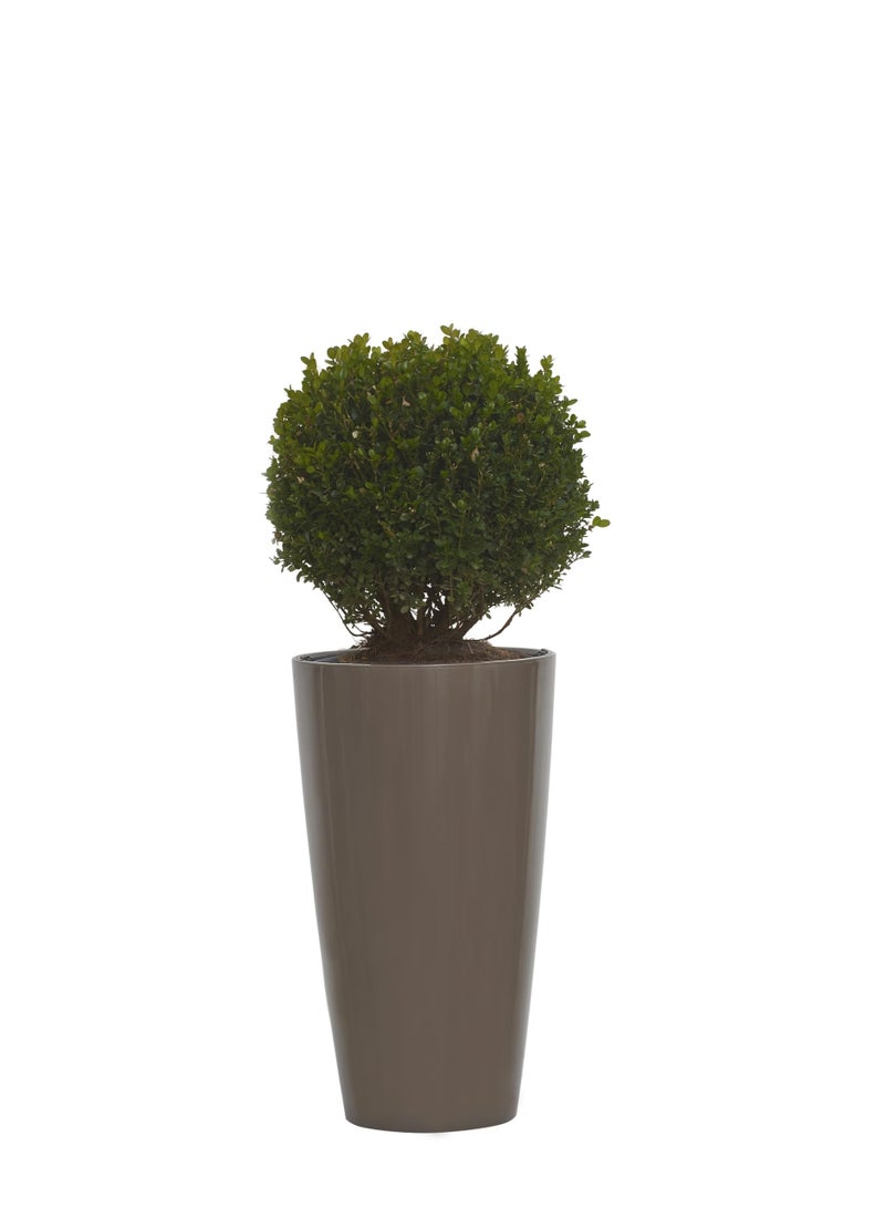 IDEL Large Planter Pot 55cm Living High Round –Big Indoor Outdoor Plant Pot Decorative Plant Container, Lightweight Durable Plastic, Multiple Colors – Made in Italy - by Idel - Image 1