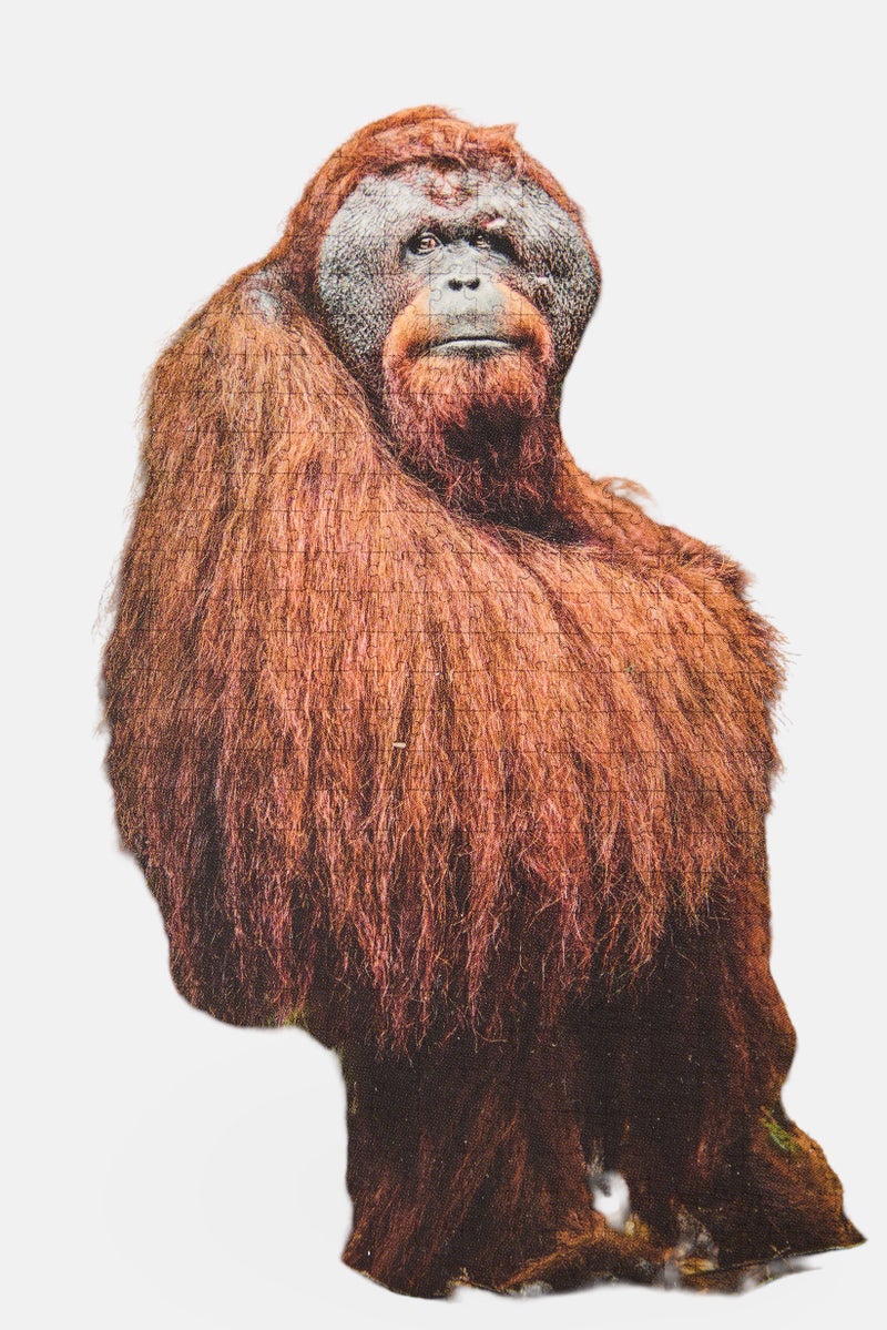 Ambassador Tri - Pack 3 x 1000 Pcs Photographers Collection Puzzle Games - Image 3