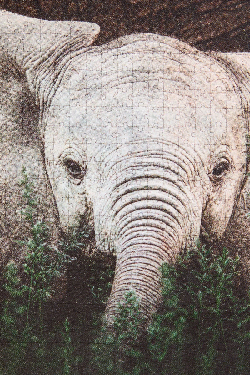 Ambassador Tri - Pack 3 x 1000 Pcs Photographers Collection Puzzle Games - Image 4