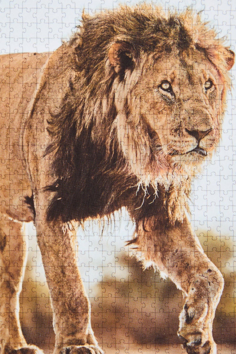 Ambassador Tri - Pack 3 x 1000 Pcs Photographers Collection Puzzle Games - Image 5