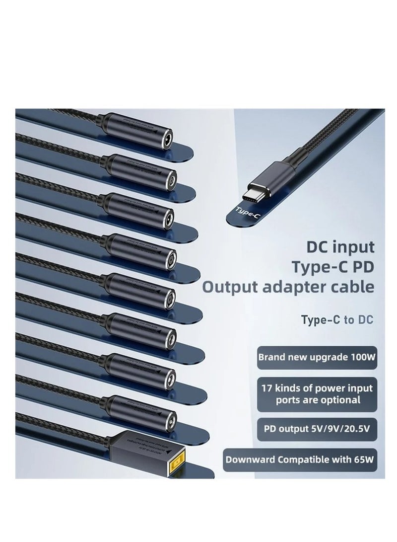 Terabyte محول شحن الكمبيوتر من أنثوي كبير مربع إلى USB-C / Type-C ذكر 100 واط - Image 2