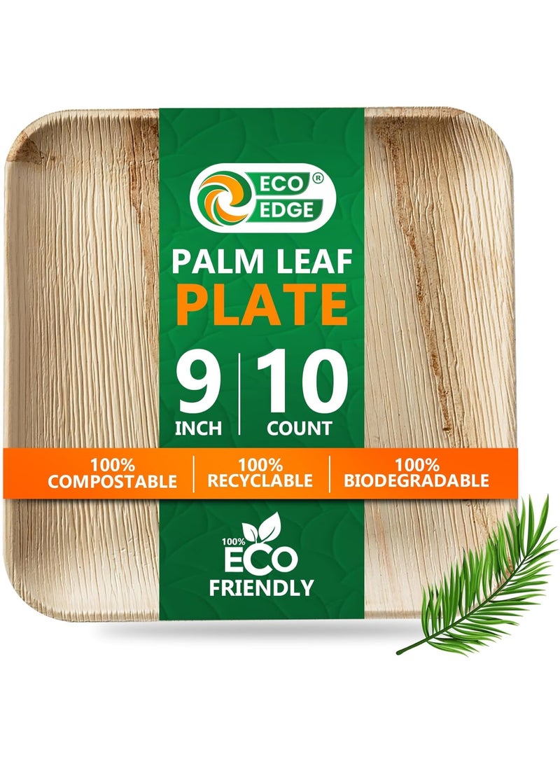 EcoEdge 9 Inch Square Areca Palm Leaf Disposable Plates (Pack of 10) | Strong and Durable | Natural, Earth-friendly and Plant Based | Microwave and Freezer Safe | 100% Organic