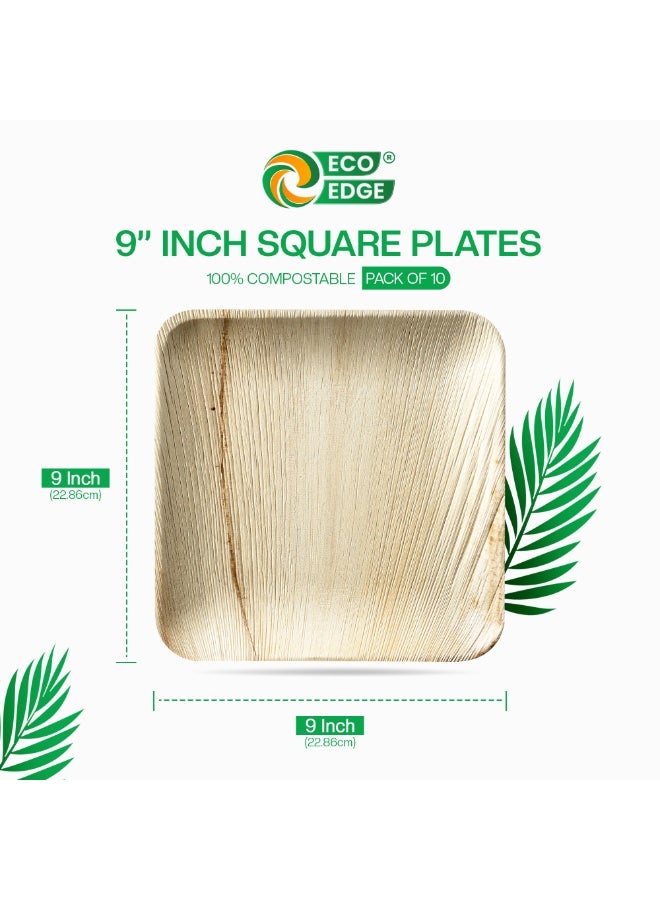 EcoEdge 9 Inch Square Areca Palm Leaf Disposable Plates (Pack of 10) | Strong and Durable | Natural, Earth-friendly and Plant Based | Microwave and Freezer Safe | 100% Organic - Image 3