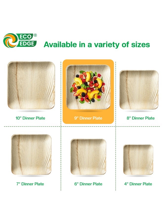 EcoEdge 9 Inch Square Areca Palm Leaf Disposable Plates (Pack of 10) | Strong and Durable | Natural, Earth-friendly and Plant Based | Microwave and Freezer Safe | 100% Organic - Image 4