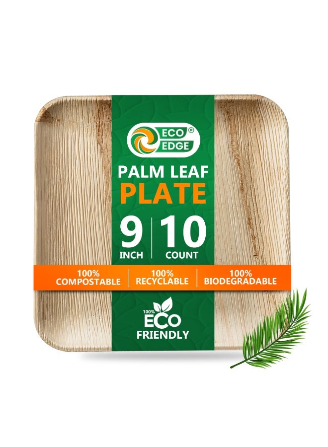 EcoEdge 9 Inch Square Areca Palm Leaf Disposable Plates (Pack of 10) | Strong and Durable | Natural, Earth-friendly and Plant Based | Microwave and Freezer Safe | 100% Organic - Image 2