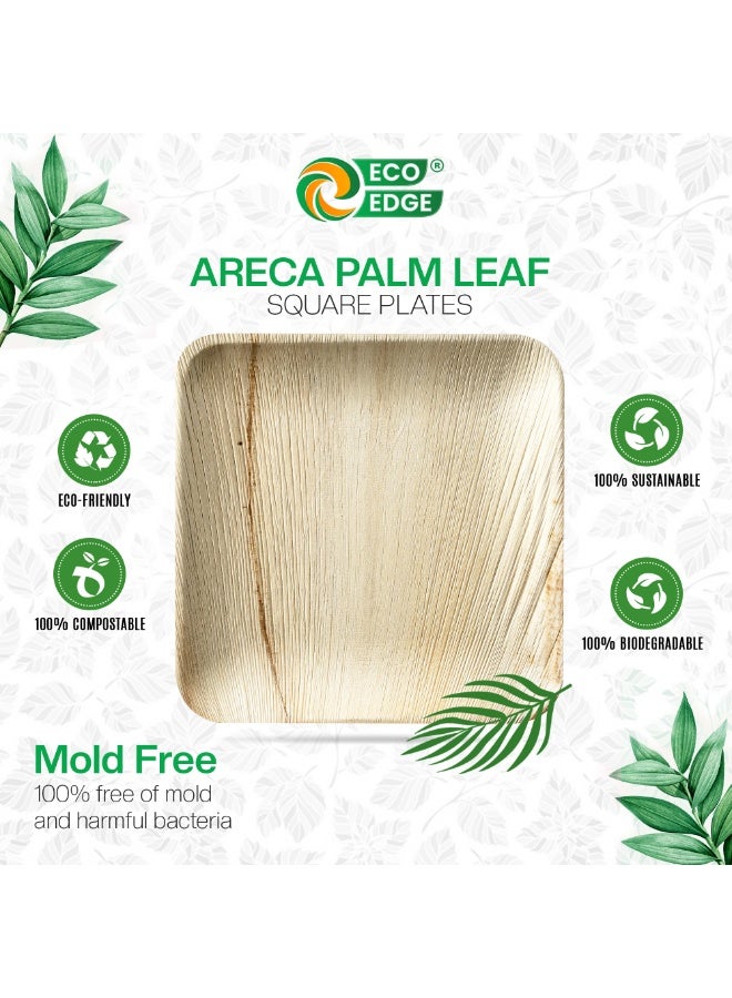EcoEdge 9 Inch Square Areca Palm Leaf Disposable Plates (Pack of 10) | Strong and Durable | Natural, Earth-friendly and Plant Based | Microwave and Freezer Safe | 100% Organic - Image 5