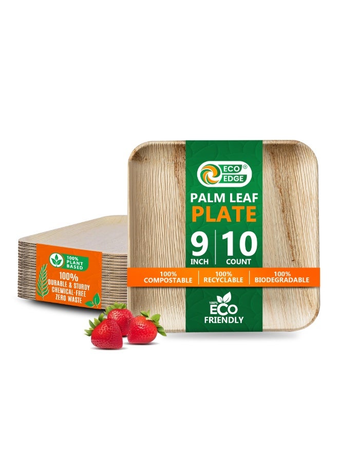EcoEdge 9 Inch Square Areca Palm Leaf Disposable Plates (Pack of 10) | Strong and Durable | Natural, Earth-friendly and Plant Based | Microwave and Freezer Safe | 100% Organic - Image 1
