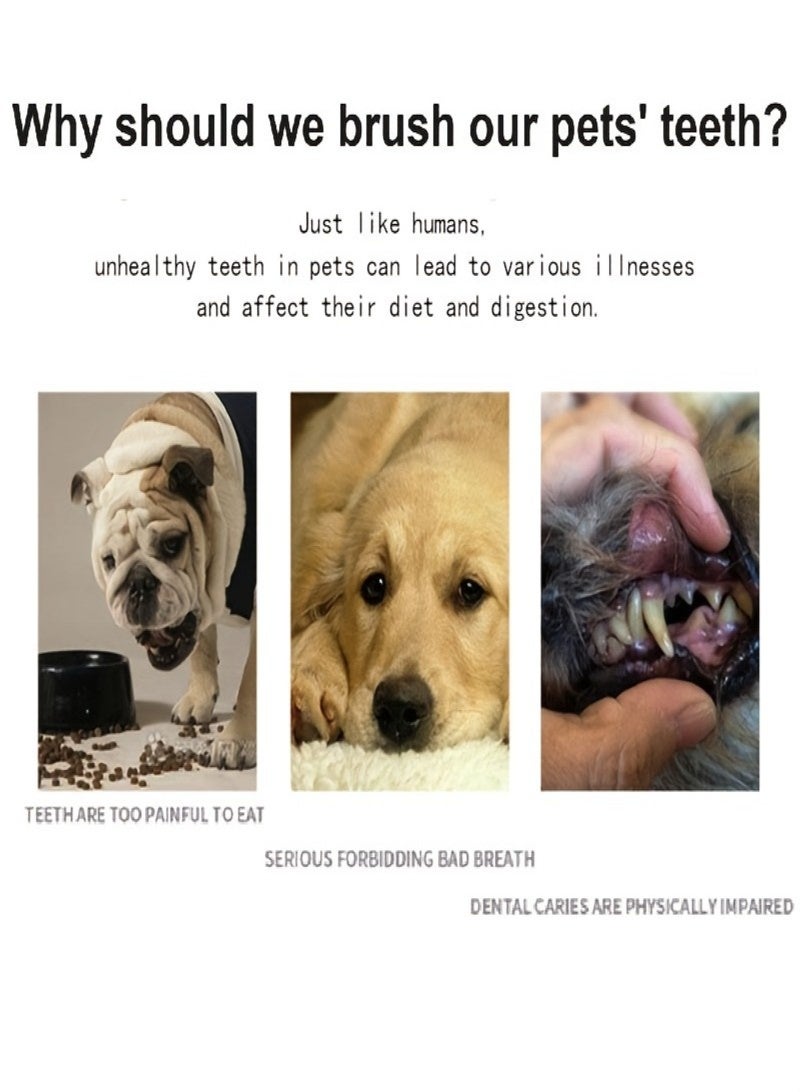 20 قطعة من فرشاة أسنان الأصابع للكلاب والقطط، مجموعة فرشاة أسنان من السيليكون الشفاف مع شعيرات سيليكون وجزيئات دائرية سميكة من طبقة السيليكون مناسبة لجميع الحيوانات الأليفة، 5.5 × 2.3 سم - Image 4