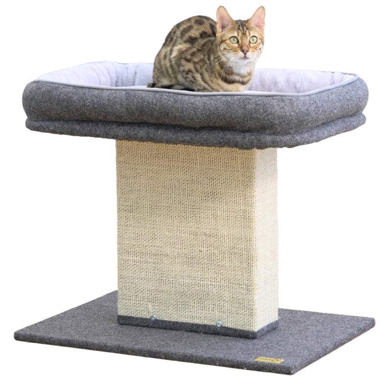 Catry Mellow 2Level 19 Cat Tree with Large Washable Replaceable Bed Big Sisal Post Quick Assembly Built to Last Ideal for Small to Large Cats Grey