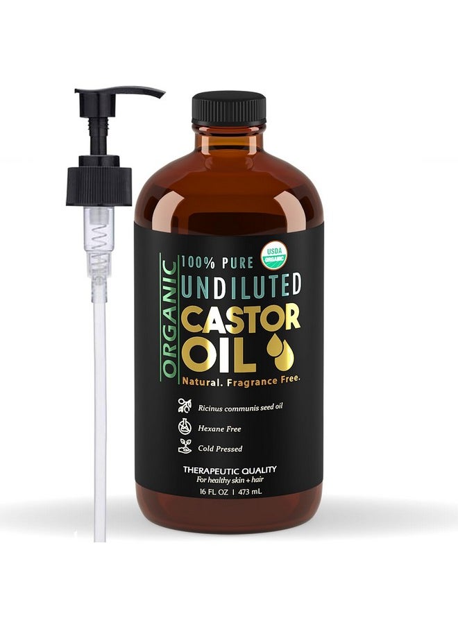 Balm of Gilead - Pure Organic Castor Oil, Cold Pressed, Glass Bottle, USDA Certified Organic, Unrefined, Hexane Free, Therapeutic, Super Rich Hydration for Hair and Skin - 16 oz - Balm of Gilead - Image 1