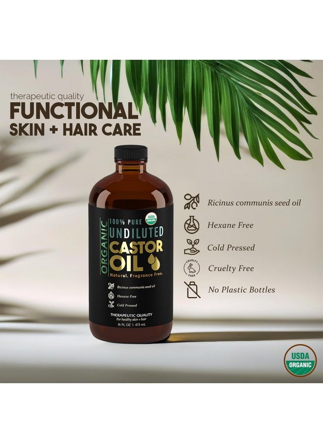 Balm of Gilead - Pure Organic Castor Oil, Cold Pressed, Glass Bottle, USDA Certified Organic, Unrefined, Hexane Free, Therapeutic, Super Rich Hydration for Hair and Skin - 16 oz - Balm of Gilead - Image 1