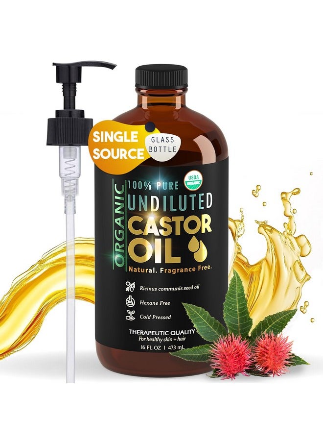 Balm of Gilead - Pure Organic Castor Oil, Cold Pressed, Glass Bottle, USDA Certified Organic, Unrefined, Hexane Free, Therapeutic, Super Rich Hydration for Hair and Skin - 16 oz - Balm of Gilead - Image 1