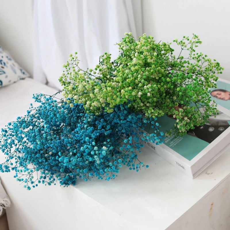 Bluejw Gypsophila Baby's Breath Dried Flowers - Preserved Real Flowers for Wedding, Christmas, Graduation, Mother's Day Decor, Indoor Floral Arrangements, Dried Plants Included - Image 2