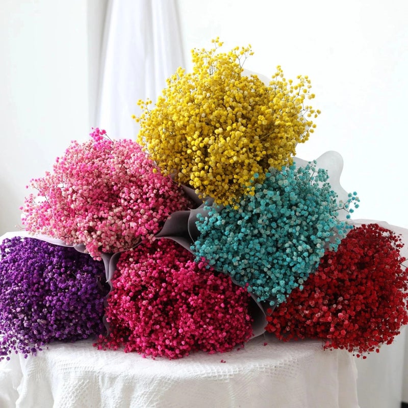 Bluejw Gypsophila Baby's Breath Dried Flowers - Preserved Real Flowers for Wedding, Christmas, Graduation, Mother's Day Decor, Indoor Floral Arrangements, Dried Plants Included - Image 1