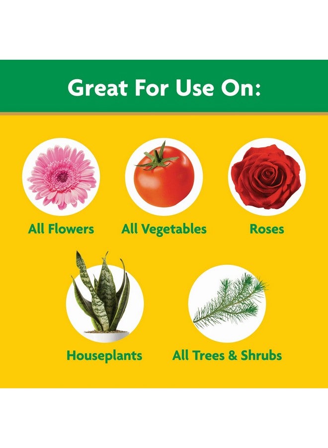 Miracle-Gro Water Soluble All Purpose Plant Food Fertilizer For Indoor Or Outdoor Flowers Vegetables Or Trees 3 Lbs. - Image 4