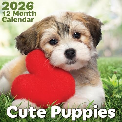 EcoEarth - Biodegradable 11x22 Inch - Open - 12-Month Vertical Hanging Wall Calendar - 2026 Monthly Calendar - Cute Puppies - Image 1