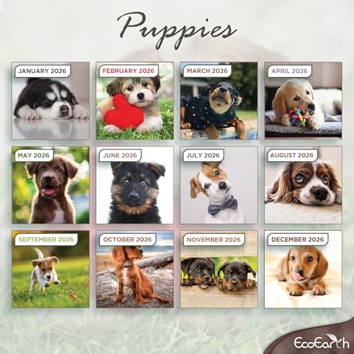 EcoEarth - Biodegradable 11x22 Inch - Open - 12-Month Vertical Hanging Wall Calendar - 2026 Monthly Calendar - Cute Puppies - Image 2