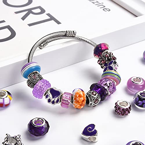 AIPRIDY 60 Pieces Assorted European Beads with Copper Core Big Hole Resin Spacer No Copper Core Lampwork Colorful Beads Rhinestone Craft Beads for DIY Charm Bracelet Jewelry Making (Violet and Purple) - Image 5