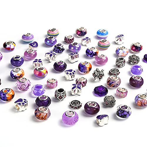 AIPRIDY 60 Pieces Assorted European Beads with Copper Core Big Hole Resin Spacer No Copper Core Lampwork Colorful Beads Rhinestone Craft Beads for DIY Charm Bracelet Jewelry Making (Violet and Purple) - Image 2