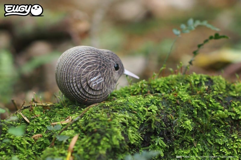 EUGY 001 Kiwi Eco-Friendly 3D Paper Puzzle [New Seal] - Image 4