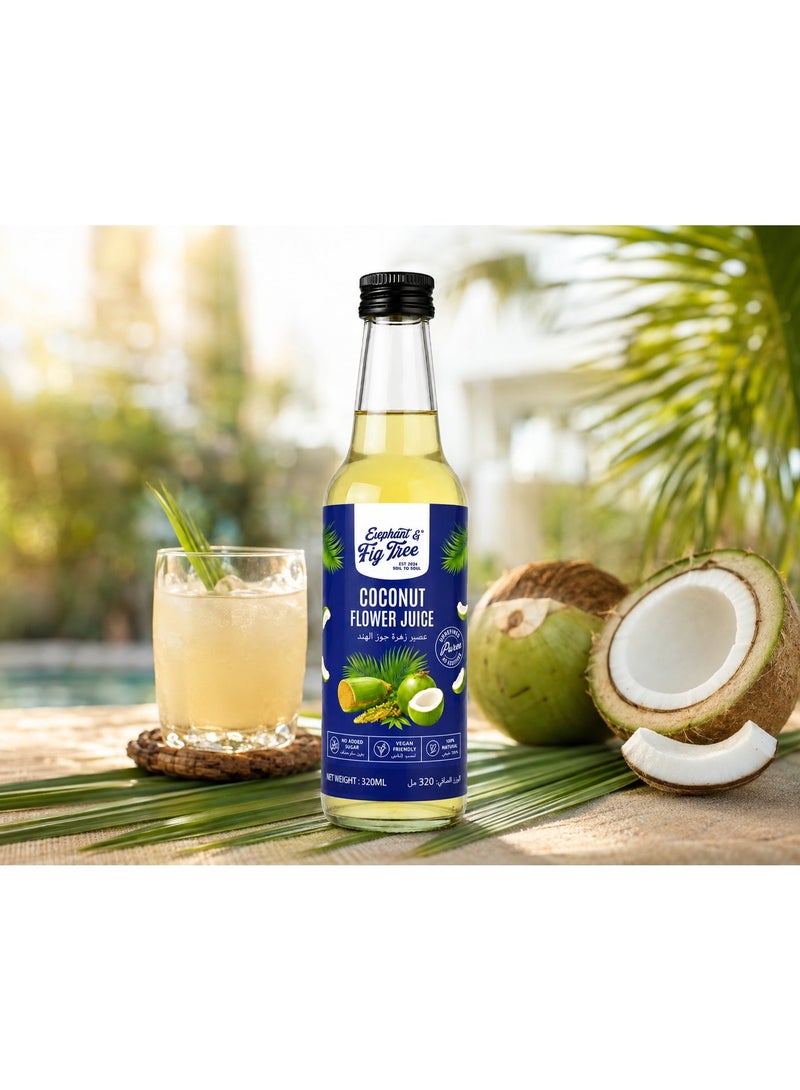 الفيل وشجرة التين عصير زهرة جوز الهند من إليفانت آند فيغ تري، 6 × 320 مل | مشروب نباتي طبيعي 100% | بدون سكر مضاف | بدون مواد حافظة | مناسب للنباتيين - Image 2