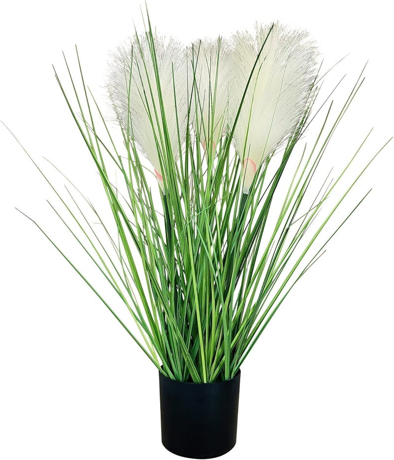 Fox & Fern Bulrush Grass Artificial Plant | with Pot | Elevate Any Corner of Your Home/Office | Ornamental Plant Best for Gifting, Party, Home Decor (Pack of 1) (Ht. 55CM) GABL2500W - Image 1