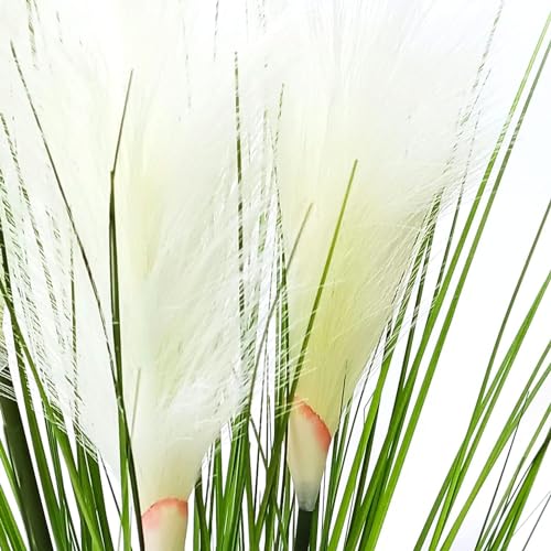 Fox & Fern Bulrush Grass Artificial Plant | with Pot | Elevate Any Corner of Your Home/Office | Ornamental Plant Best for Gifting, Party, Home Decor (Pack of 1) (Ht. 55CM) GABL2500W - Image 4