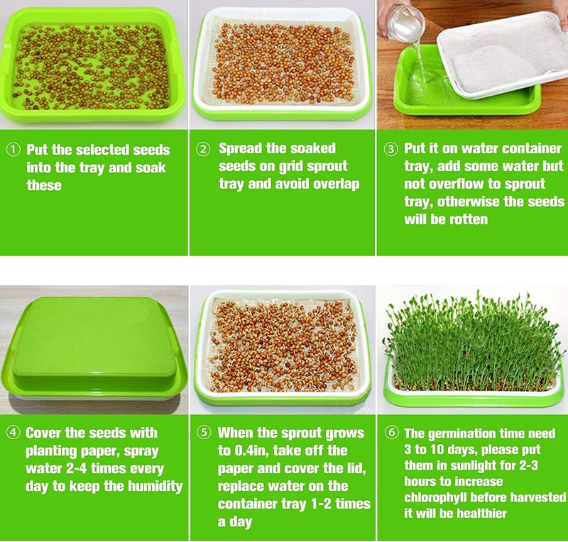 Legigo 5 Pack Seed Sprouter Trays with Lids- Soil-Free Cultivation Germination Tray, BPA Free Micro Greens Growing Trays Seed Sprouting Trays Kit with Germinating Paper for Wheatgrass, Beans and More - Image 5