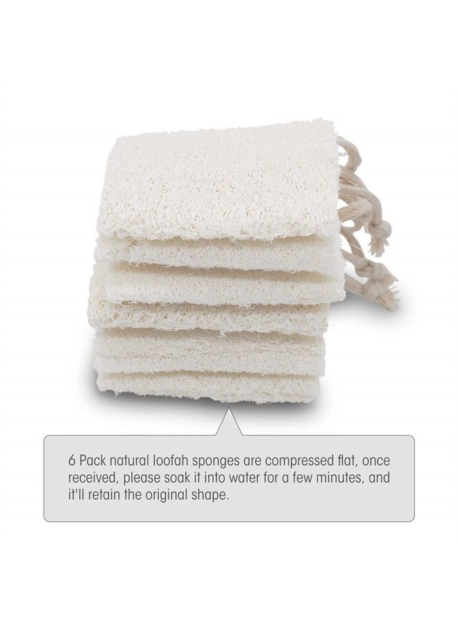 METLUCK Loofah Sponges Natural Organic Luffa Loofah Bath Sponge Exfoliating Natural Bath Shower Sponges Body Scrubbers, 6 Pack - Image 5