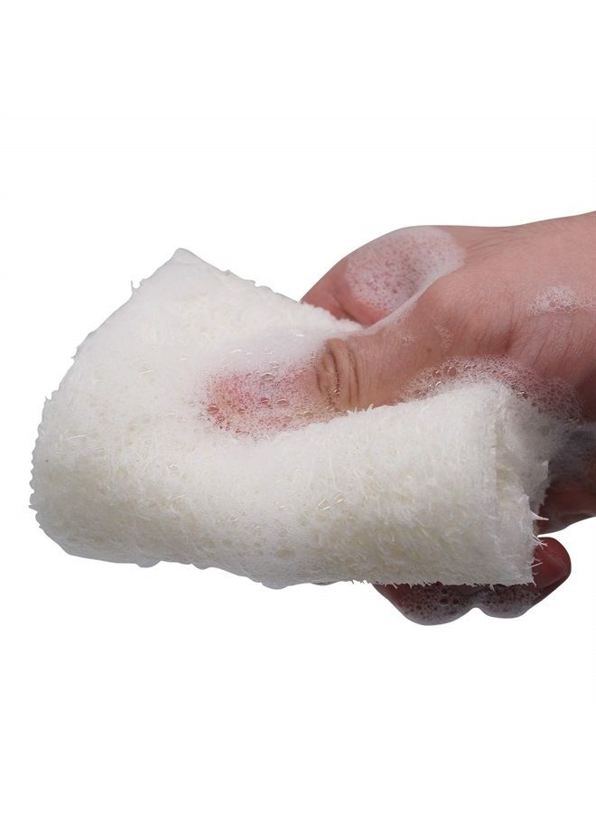 METLUCK Loofah Sponges Natural Organic Luffa Loofah Bath Sponge Exfoliating Natural Bath Shower Sponges Body Scrubbers, 6 Pack - Image 4