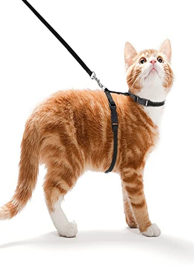 Pups&Pets Cat Nylon Strap Colllar with Adjustable Harness Leash Set for Rabbit Kitten and Small Pet - Black - Image 1
