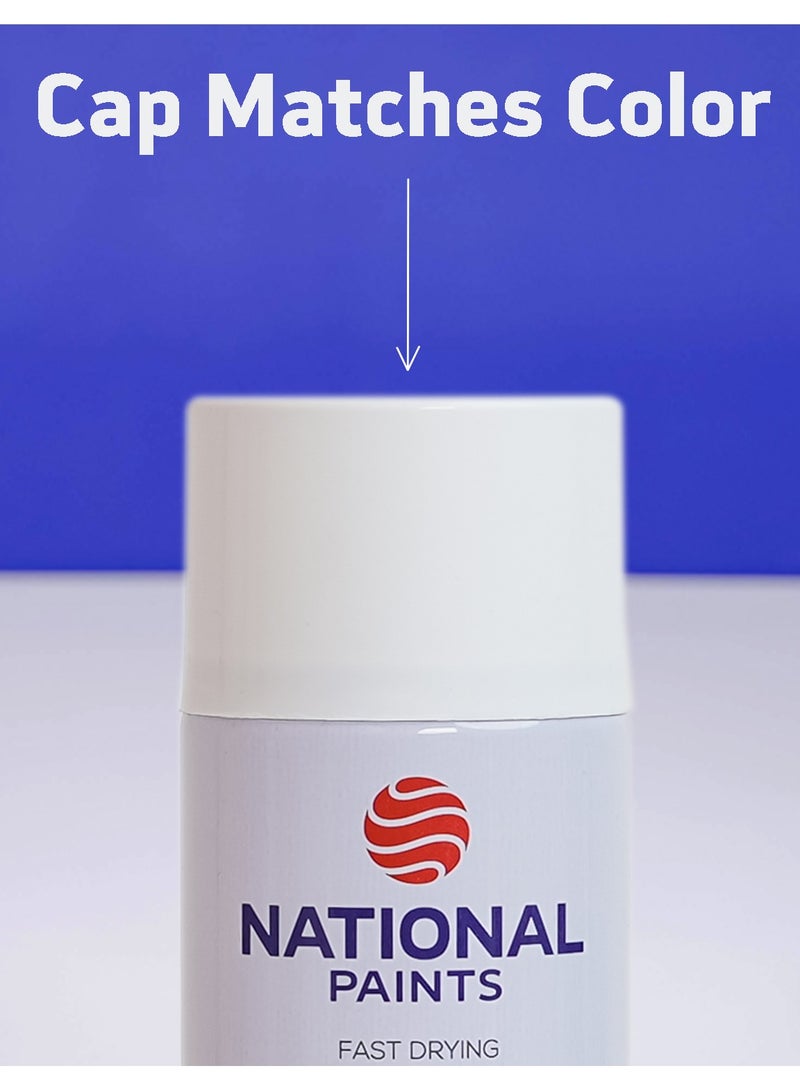 ناشونال بينتس دهانات ناشونال دهان رش مقاوم للحرارة فضي - يتحمل حتى درجة حرارة 600 درجة مئوية - Image 3