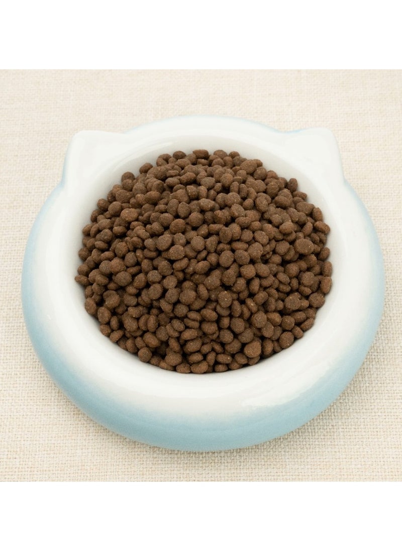 GOLDEN CAT - Cat Kitten Dry Food, Dry food, cat food, cat pallets, cat biscuits, kitten food, 3kg - Image 1