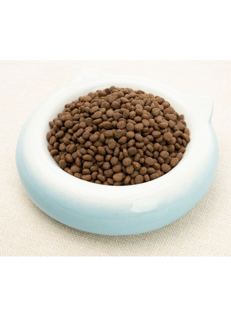 GOLDEN CAT - Cat Kitten Dry Food, Dry food, cat food, cat pallets, cat biscuits, kitten food, 3kg - Image 1