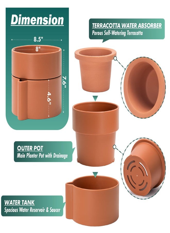 Phoenix Vine 8 Inch Self-Watering Planter Pot with Terracotta Insert, Deep Water Reservoir, and Ceramic-Alike BPA-Free Plastic Planter Pot for Plant, Modern Planter for Houseplants, Terracotta, 53-A-T-3 - Image 4