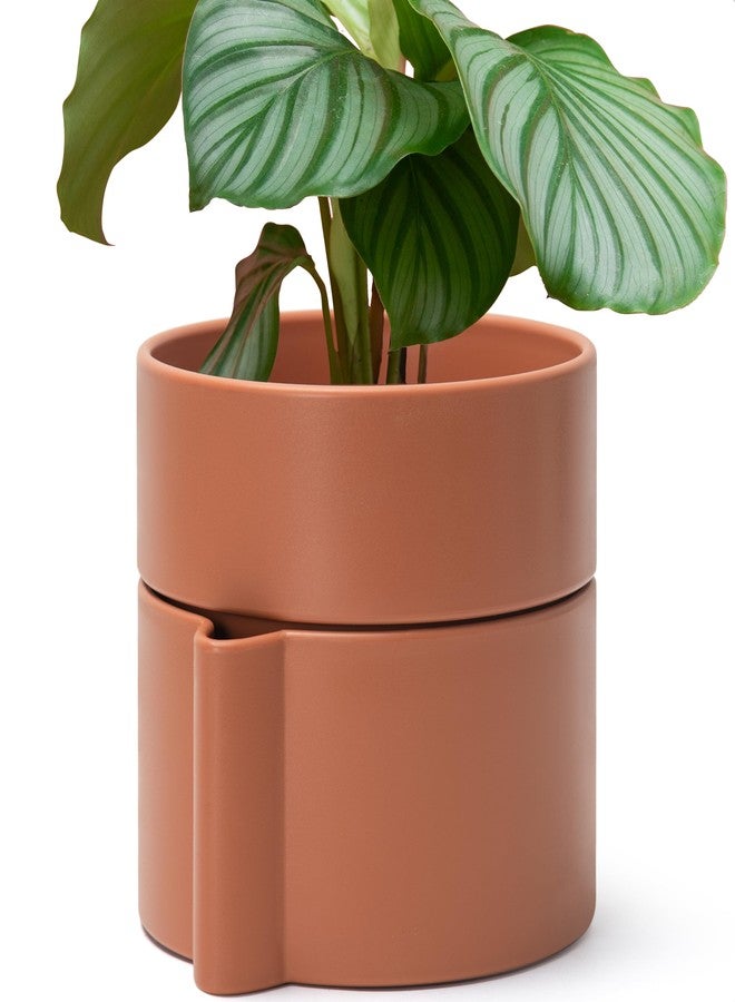 Phoenix Vine 8 Inch Self-Watering Planter Pot with Terracotta Insert, Deep Water Reservoir, and Ceramic-Alike BPA-Free Plastic Planter Pot for Plant, Modern Planter for Houseplants, Terracotta, 53-A-T-3 - Image 1