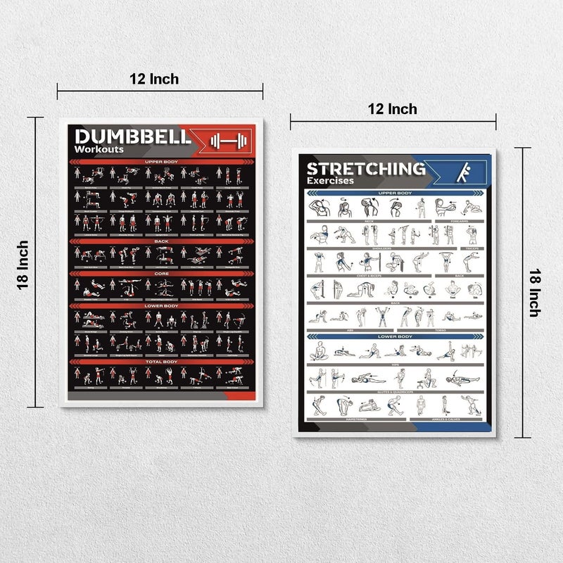 PIXELARTZ ملصقات حائط ورقية تحفيزية للتمارين الرياضية ورسوم توضيحية لبناء الأجسام ملصقات صالة الألعاب الرياضية بجودة HD للمنزل، مكتب حائط متعدد الألوان 12x18 بوصة (عبوة من 6 ملصقات) (07، كبير) - Image 4