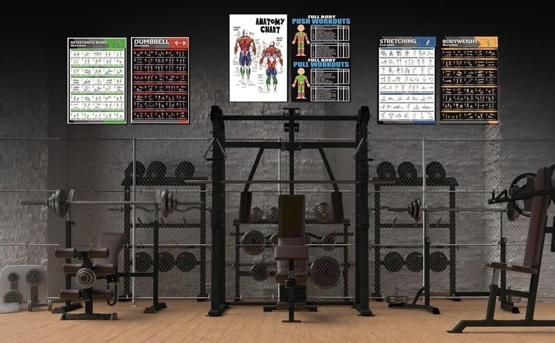 PIXELARTZ ملصقات حائط ورقية تحفيزية للتمارين الرياضية ورسوم توضيحية لبناء الأجسام ملصقات صالة الألعاب الرياضية بجودة HD للمنزل، مكتب حائط متعدد الألوان 12x18 بوصة (عبوة من 6 ملصقات) (07، كبير) - Image 3