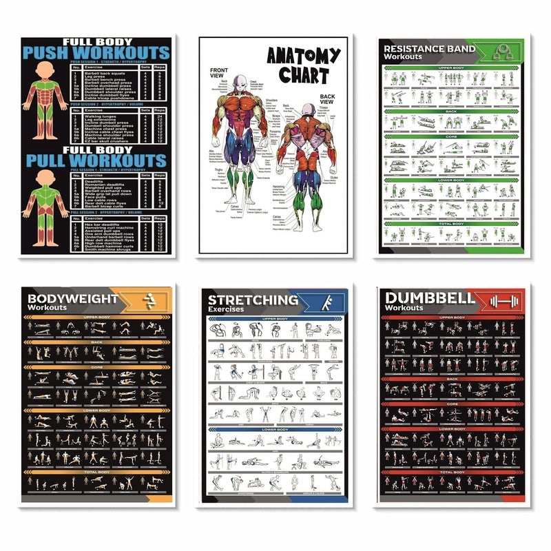 PIXELARTZ ملصقات حائط ورقية تحفيزية للتمارين الرياضية ورسوم توضيحية لبناء الأجسام ملصقات صالة الألعاب الرياضية بجودة HD للمنزل، مكتب حائط متعدد الألوان 12x18 بوصة (عبوة من 6 ملصقات) (07، كبير) - Image 1