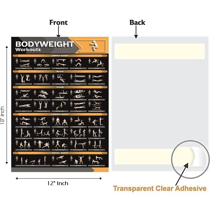 PIXELARTZ ملصقات حائط ورقية تحفيزية للتمارين الرياضية ورسوم توضيحية لبناء الأجسام ملصقات صالة الألعاب الرياضية بجودة HD للمنزل، مكتب حائط متعدد الألوان 12x18 بوصة (عبوة من 6 ملصقات) (07، كبير) - Image 5
