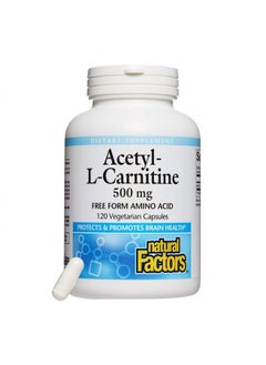 , Acetyl L-Carnitine 500 mg, Promotes a Healthy Memory, Concentration and Brain Function, 120 capsules (60 servings)