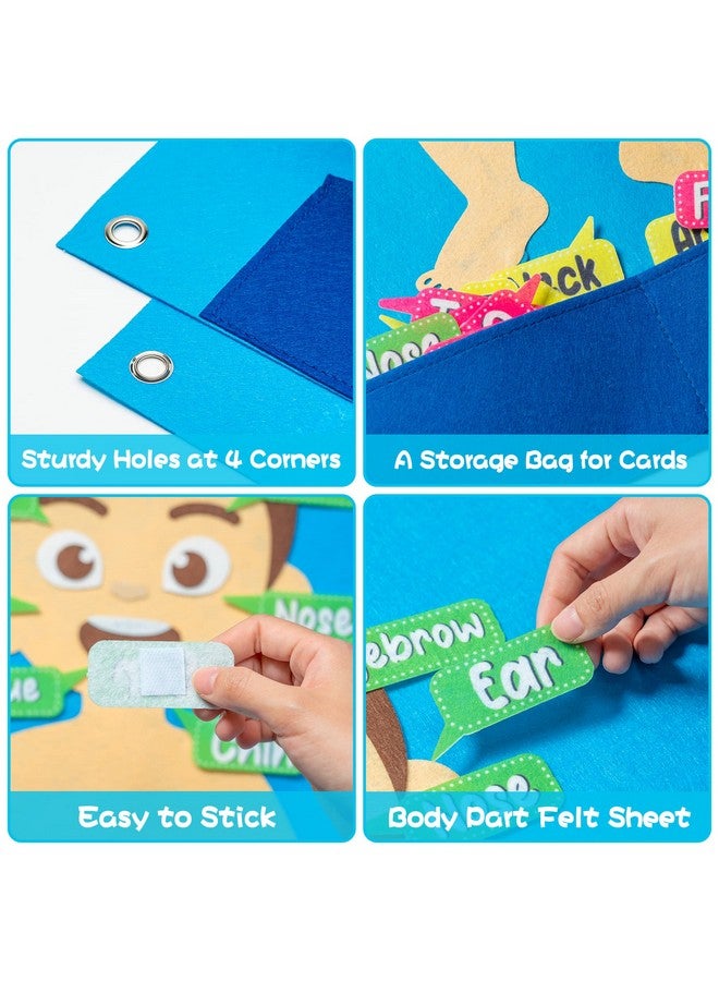واتينك مجموعة لوحة قصص تعليمية من WATINC مكونة من 35 قطعة لأجزاء الجسم وأعضاء الإنسان لمرحلة ما قبل المدرسة، مجموعة ألعاب تفاعلية تعليمية للتعليق على الحائط هدية للأطفال الصغار 41 × 30 بوصة - Image 3