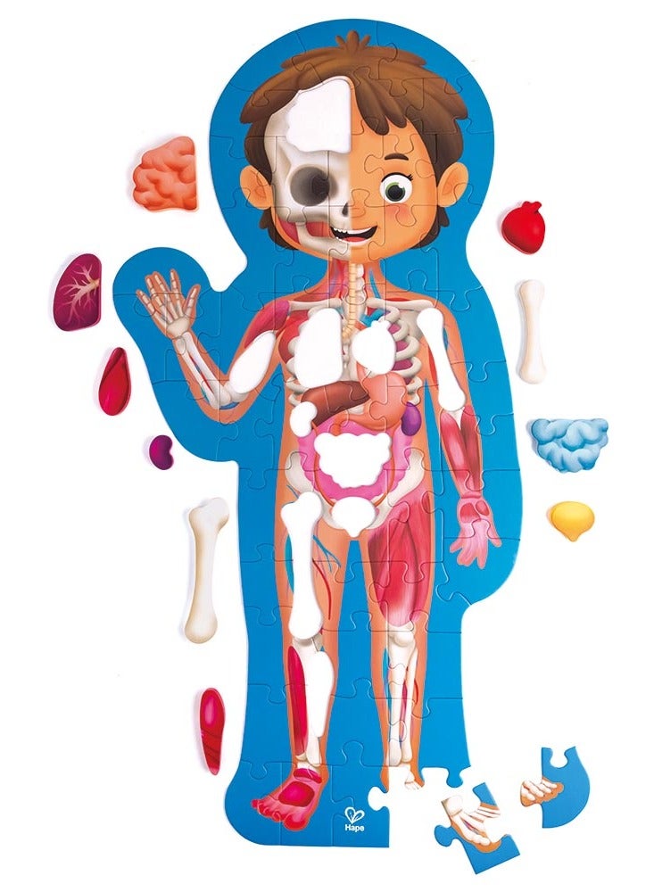 Hape لعبة بازل جسم الإنسان هابي 60 قطعة مع 10 قطع خشبية لأجزاء الجسم - Image 2