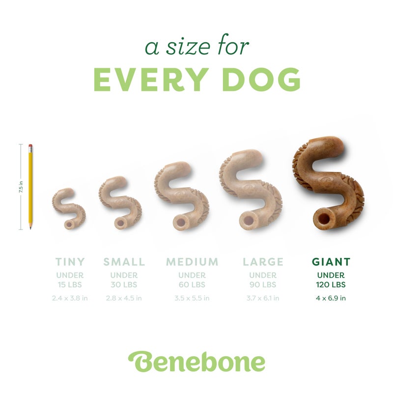 Benebone Tripe Bone Durable Dog Chew Toy for Aggressive Chewers, Real Tripe, Made in USA, Giant - Image 4