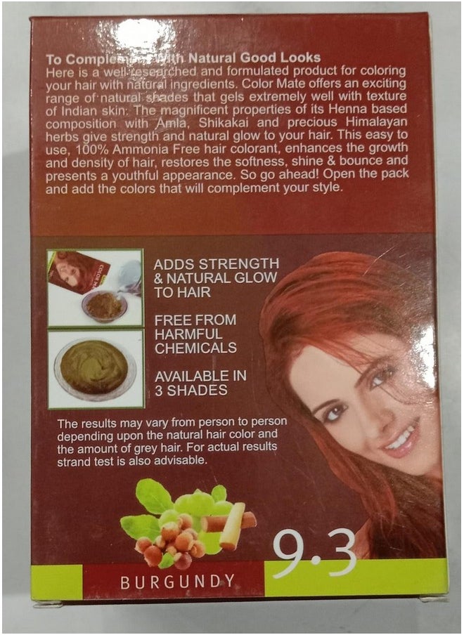 COLOR MATE - Herbal Based Ammonia Free Hair Color With Ayur Product In Combo 300G (9.3 Burgundy) - Image 1