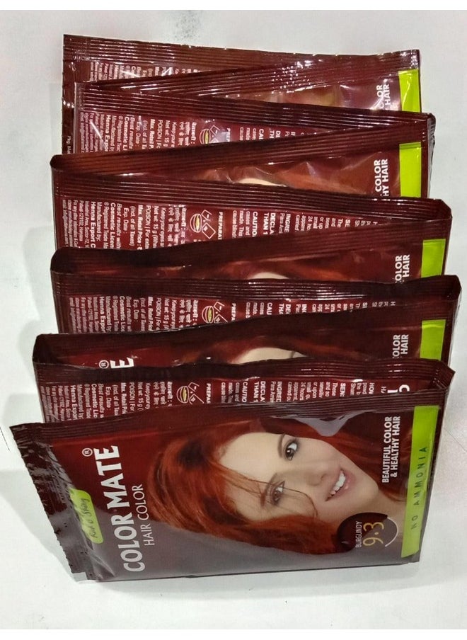 COLOR MATE - Herbal Based Ammonia Free Hair Color With Ayur Product In Combo 300G (9.3 Burgundy) - Image 1