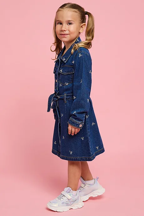 R&B Embroidered Denim Shirt Dress with Long Sleeves