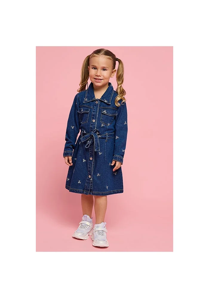 أر أند بي Embroidered Denim Shirt Dress with Long Sleeves
